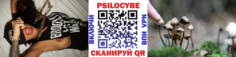 Галлюциногенные грибы Psilocybine cubensis  Аркадак 